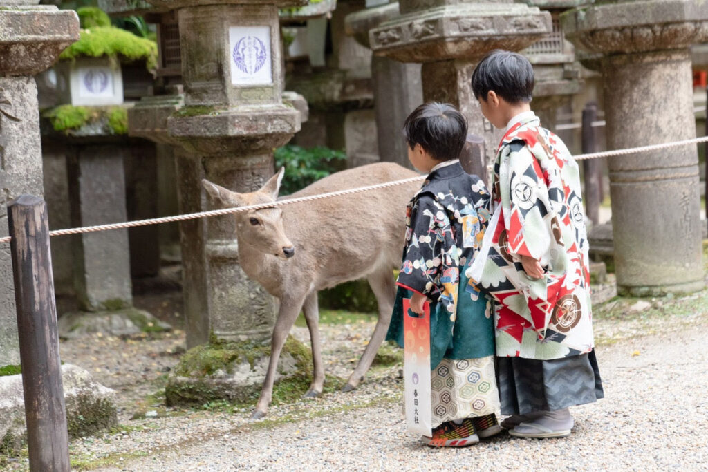 七五三(753)奈良県奈良市・橿原市・広陵町・京都府木津川市_フォトスタジオワタナベ(渡辺写真館)_奈良市_春日大社