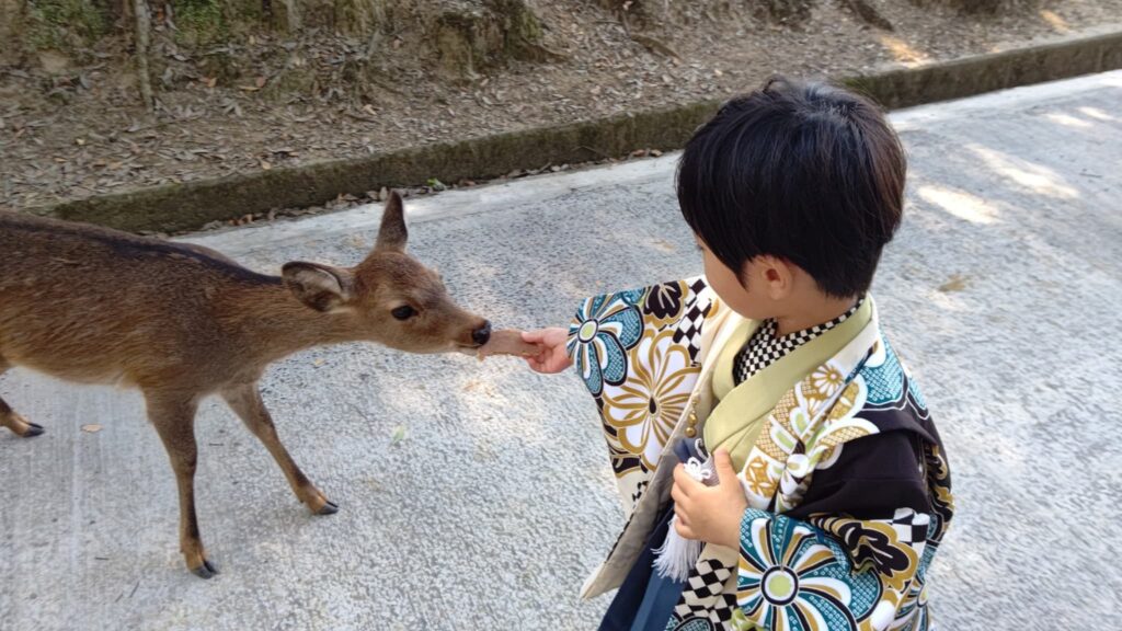 春日大社_奈良県奈良市_七五三お参り・ご祈祷_参道1